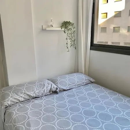 Apartamento Nuevo Con Piscina, Temporada